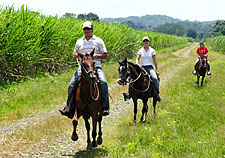 Costa Rica-Pacific Coast-Kaleidoscope Ride - Volcanoes and Paramo